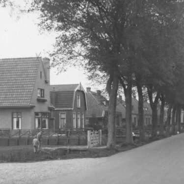 Afbeelding van "IJsbaan"