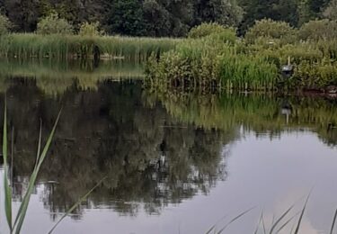 Foto bij het artikel: "Met IVN wandelen in het SBB-natuurgebied De Twigen"