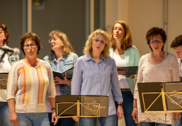 Foto bij het artikel: "<strong>Vol programma bij Súdwest Festival in Workum</strong><strong></strong>"